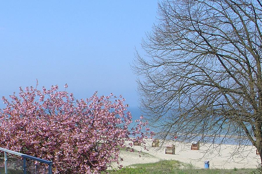 Villa Hansa Am Meer 티멘도르프스트랜드 외부 사진